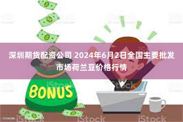 深圳期货配资公司 2024年6月2日全国主要批发市场荷兰豆价格行情