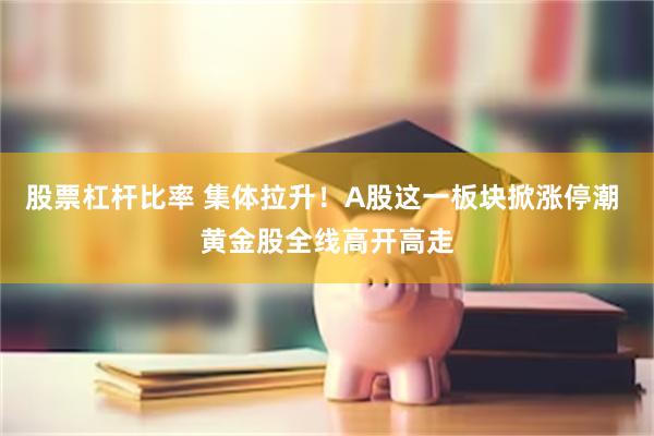股票杠杆比率 集体拉升！A股这一板块掀涨停潮 黄金股全线高开高走