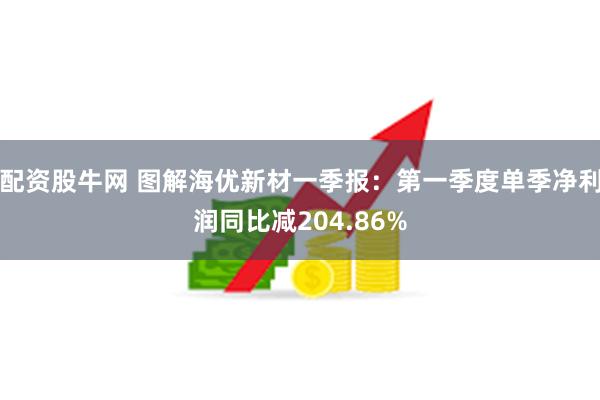 配资股牛网 图解海优新材一季报：第一季度单季净利润同比减204.86%