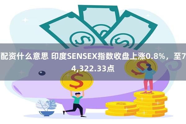 配资什么意思 印度SENSEX指数收盘上涨0.8%，至74,322.33点