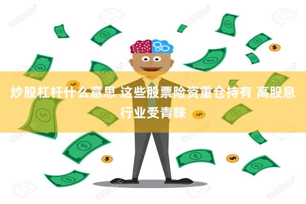 炒股杠杆什么意思 这些股票险资重仓持有 高股息行业受青睐