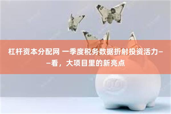杠杆资本分配网 一季度税务数据折射投资活力——看，大项目里的新亮点