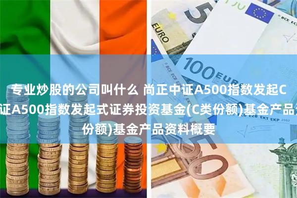 专业炒股的公司叫什么 尚正中证A500指数发起C: 尚正中证A500指数发起式证券投资基金(C类份额)基金产品资料概要