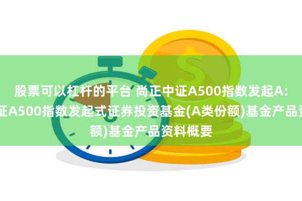 股票可以杠杆的平台 尚正中证A500指数发起A: 尚正中证A500指数发起式证券投资基金(A类份额)基金产品资料概要
