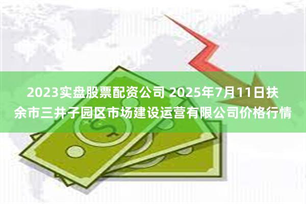 2023实盘股票配资公司 2025年7月11日扶余市三井子园区市场建设运营有限公司价格行情
