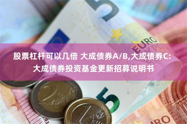 股票杠杆可以几倍 大成债券A/B,大成债券C: 大成债券投资基金更新招募说明书