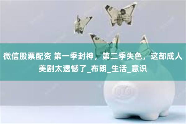 微信股票配资 第一季封神，第二季失色，这部成人美剧太遗憾了_布朗_生活_意识