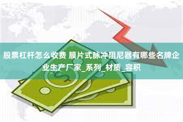 股票杠杆怎么收费 膜片式脉冲阻尼器有哪些名牌企业生产厂家_系列_材质_容积