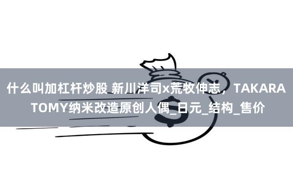 什么叫加杠杆炒股 新川洋司x荒牧伸志，TAKARA TOMY纳米改造原创人偶_日元_结构_售价