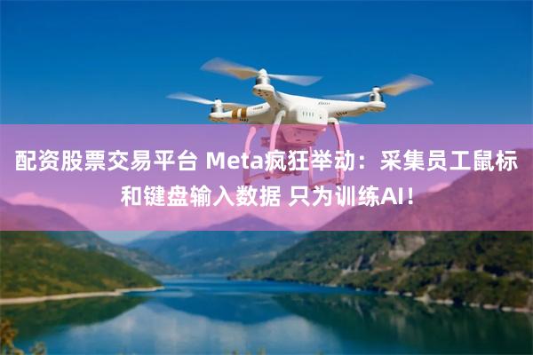 配资股票交易平台 Meta疯狂举动：采集员工鼠标和键盘输入数据 只为训练AI！