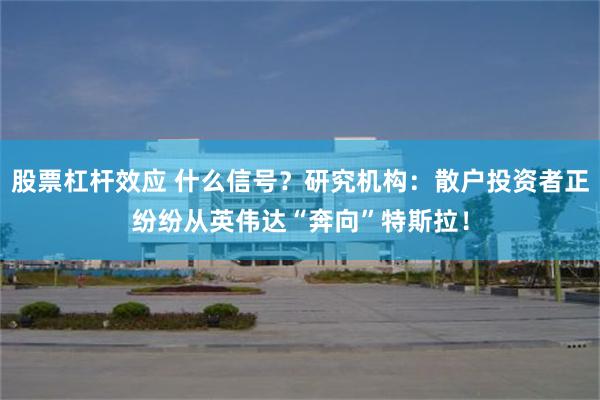 股票杠杆效应 什么信号？研究机构：散户投资者正纷纷从英伟达“奔向”特斯拉！