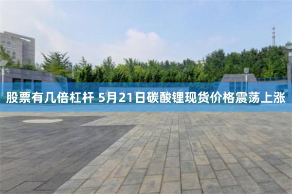 股票有几倍杠杆 5月21日碳酸锂现货价格震荡上涨