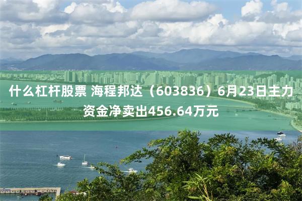 什么杠杆股票 海程邦达（603836）6月23日主力资金净卖出456.64万元