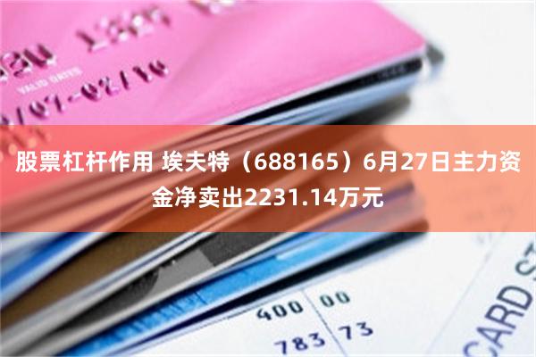 股票杠杆作用 埃夫特（688165）6月27日主力资金净卖出2231.14万元