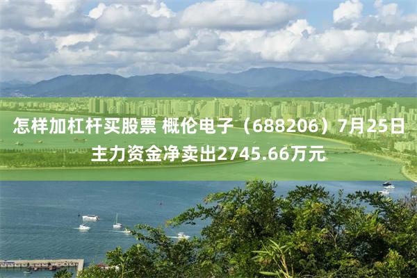怎样加杠杆买股票 概伦电子（688206）7月25日主力资金净卖出2745.66万元
