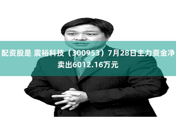 配资股是 震裕科技（300953）7月28日主力资金净卖出6012.16万元