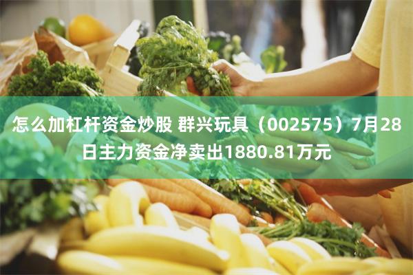 怎么加杠杆资金炒股 群兴玩具（002575）7月28日主力资金净卖出1880.81万元