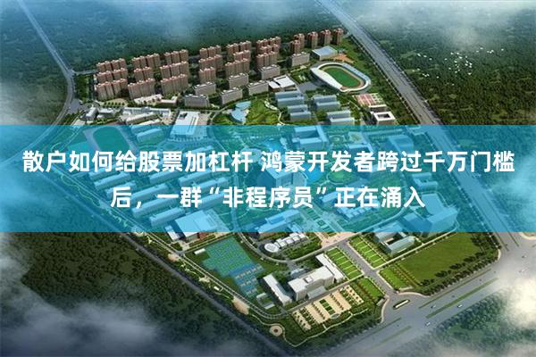 散户如何给股票加杠杆 鸿蒙开发者跨过千万门槛后，一群“非程序员”正在涌入