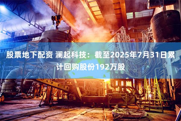 股票地下配资 澜起科技：截至2025年7月31日累计回购股份192万股