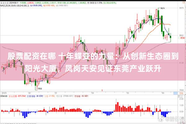 股票配资在哪 十年蝶变的力量：从创新生态圈到阳光大厦，凤岗天安见证东莞产业跃升