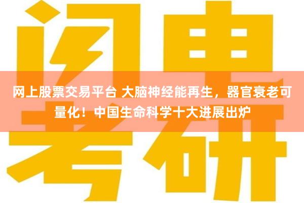 网上股票交易平台 大脑神经能再生，器官衰老可量化！中国生命科学十大进展出炉
