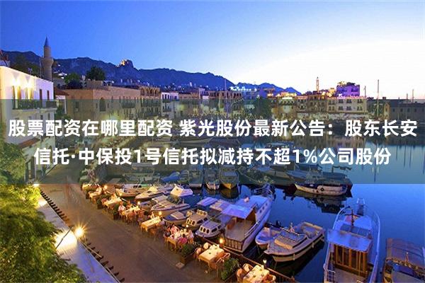 股票配资在哪里配资 紫光股份最新公告：股东长安信托·中保投1号信托拟减持不超1%公司股份