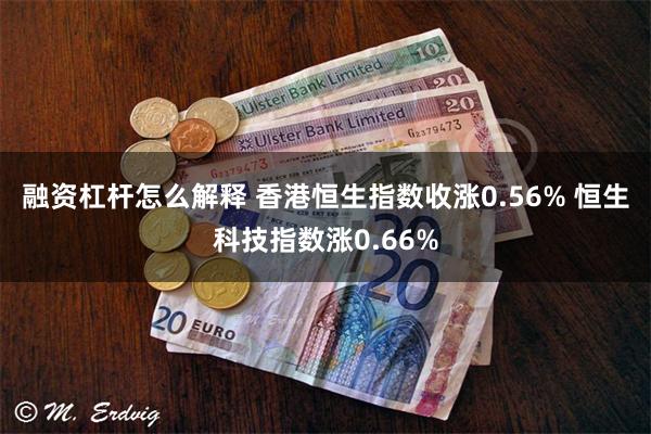 融资杠杆怎么解释 香港恒生指数收涨0.56% 恒生科技指数涨0.66%