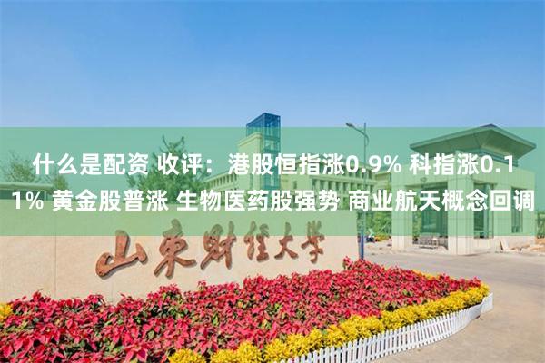 什么是配资 收评：港股恒指涨0.9% 科指涨0.11% 黄金股普涨 生物医药股强势 商业航天概念回调