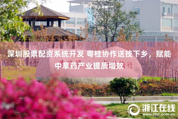 深圳股票配资系统开发 粤桂协作送技下乡，赋能中草药产业提质增效