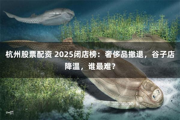杭州股票配资 2025闭店榜：奢侈品撤退，谷子店降温，谁最难？