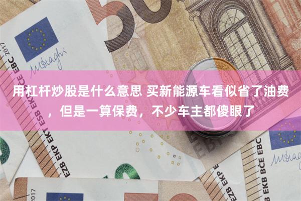用杠杆炒股是什么意思 买新能源车看似省了油费，但是一算保费，不少车主都傻眼了