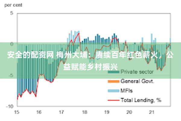 安全的配资网 梅州大埔:赓续百年红色薪火,公益赋能乡村振兴