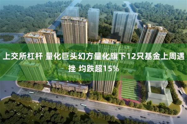 上交所杠杆 量化巨头幻方量化旗下12只基金上周遇挫 均跌超15%
