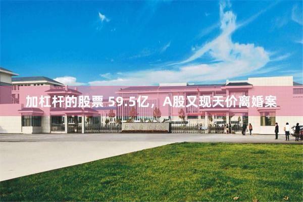 加杠杆的股票 59.5亿,A股又现天价离婚案