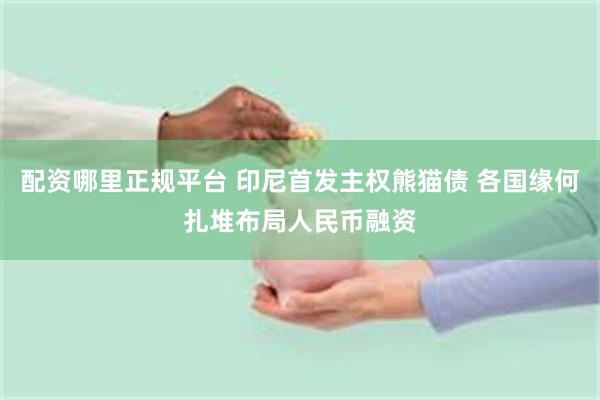 配资哪里正规平台 印尼首发主权熊猫债 各国缘何扎堆布局人民币融资