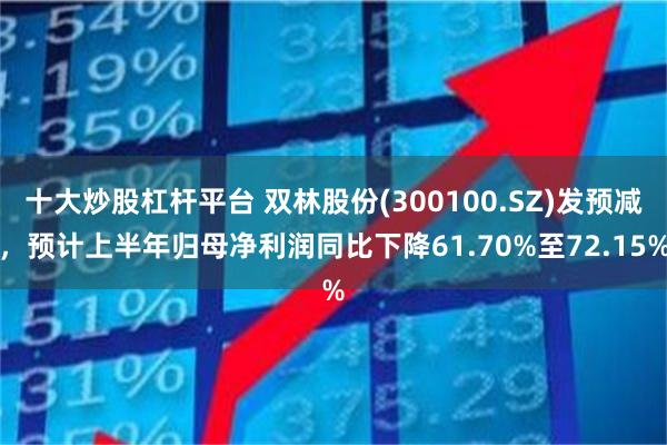 十大炒股杠杆平台 双林股份(300100.SZ)发预减，预计上半年归母净利润同比下降61.70%至72.15%