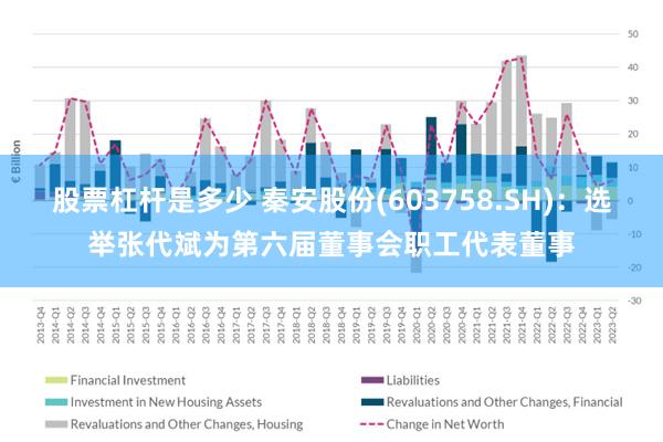 股票杠杆是多少 秦安股份(603758.SH)：选举张代斌为第六届董事会职工代表董事