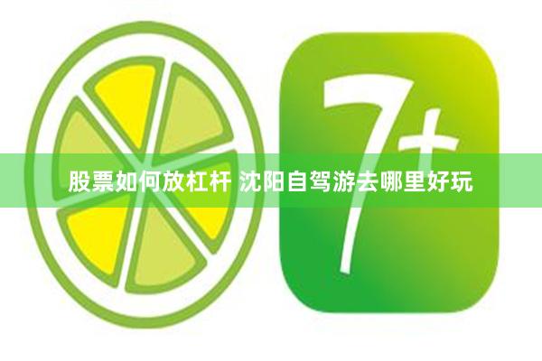 股票如何放杠杆 沈阳自驾游去哪里好玩