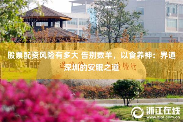股票配资风险有多大 告别数羊，以食养神：界道深圳的安眠之道