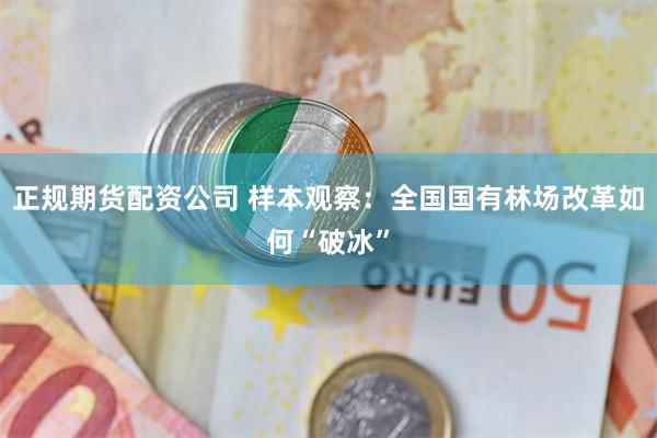 正规期货配资公司 样本观察：全国国有林场改革如何“破冰”