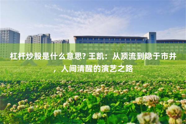 杠杆炒股是什么意思? 王凯：从顶流到隐于市井，人间清醒的演艺之路