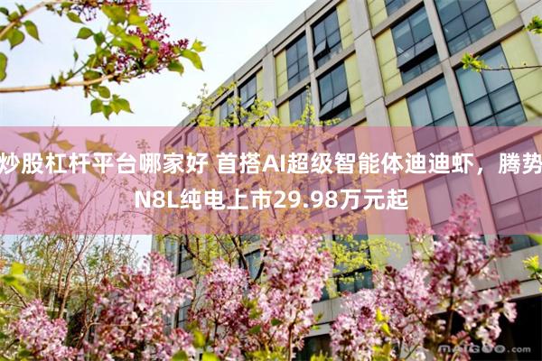 炒股杠杆平台哪家好 首搭AI超级智能体迪迪虾，腾势N8L纯电上市29.98万元起