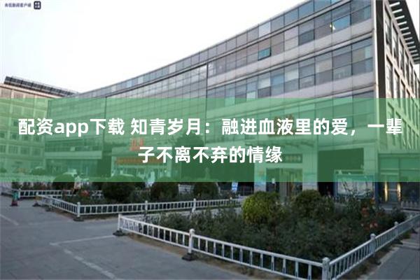 配资app下载 知青岁月:融进血液里的爱,一辈子不离不弃的情缘