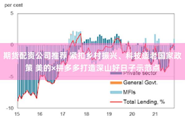 期货配资公司推荐 紧扣乡村振兴、科技适老国家政策 美的×拼多多打造深山好日子示范点