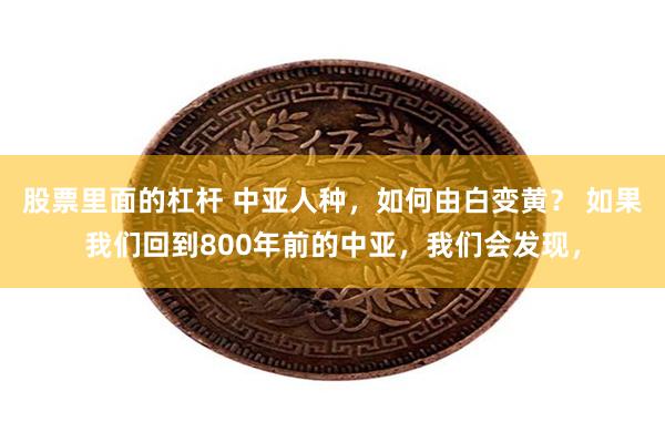 股票里面的杠杆 中亚人种，如何由白变黄？ 如果我们回到800年前的中亚，我们会发现，
