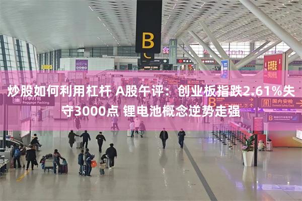 炒股如何利用杠杆 A股午评:创业板指跌2.61%失守3000点 锂电池概念逆势走强