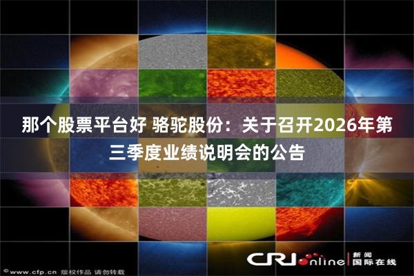 那个股票平台好 骆驼股份：关于召开2026年第三季度业绩说明会的公告