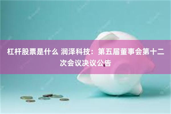 杠杆股票是什么 润泽科技：第五届董事会第十二次会议决议公告