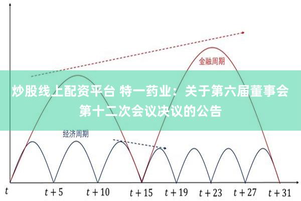 炒股线上配资平台 特一药业：关于第六届董事会第十二次会议决议的公告