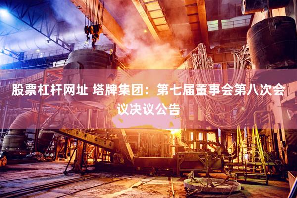 股票杠杆网址 塔牌集团：第七届董事会第八次会议决议公告